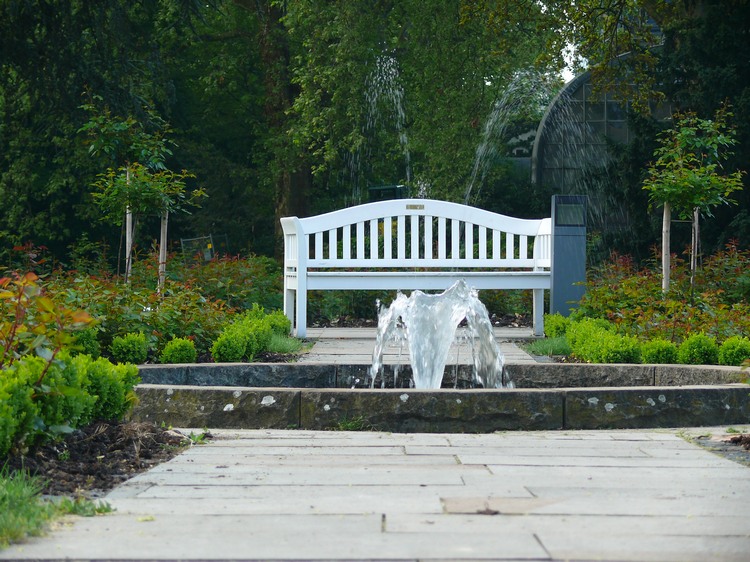 2009-05_palmengarten_002.jpg