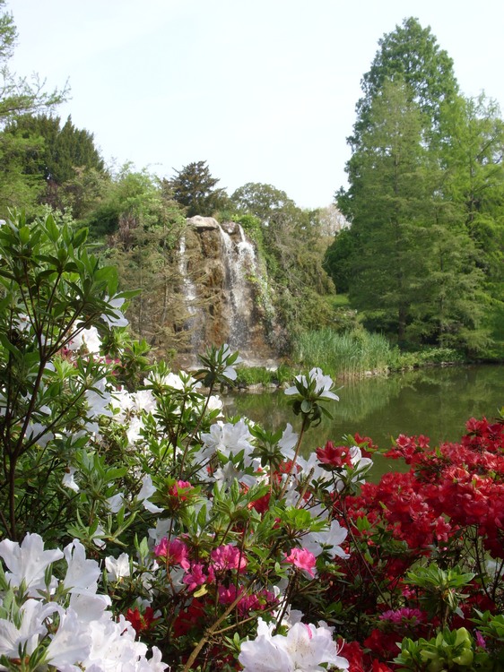 2009-05_palmengarten_035.jpg