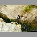 2009-06_opelzoo_010.JPG