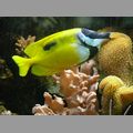 2009-06_opelzoo_025.JPG