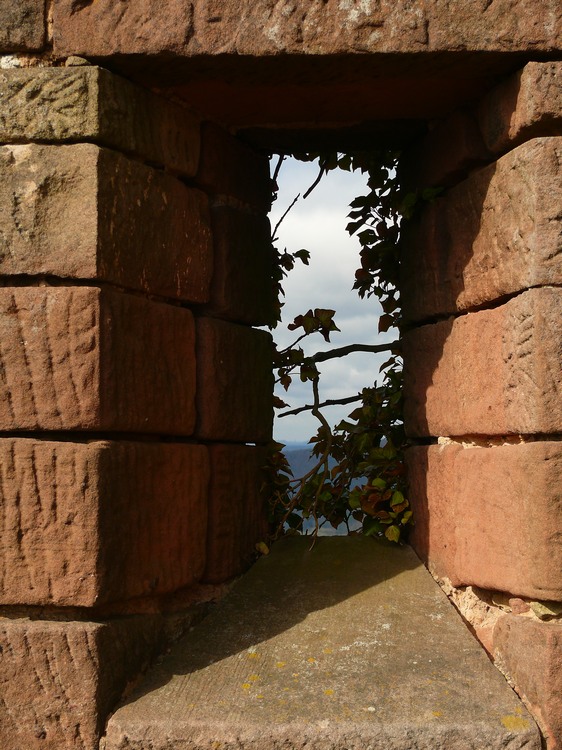 2009_erfweiler_126.jpg