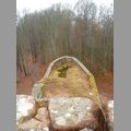 2009_erfweiler_034.jpg