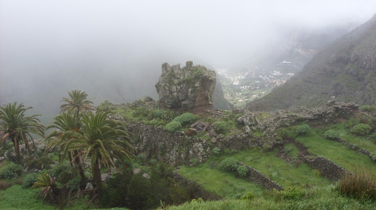 2009-01_lagomera-093.JPG