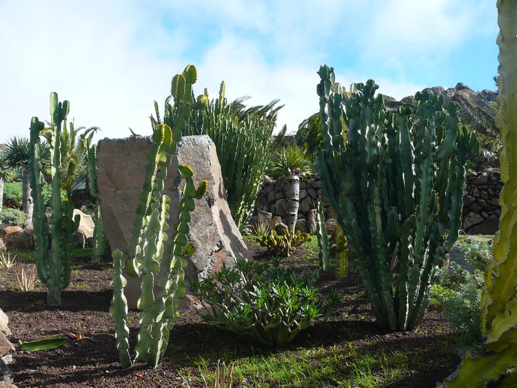 2009-01_lagomera-164.JPG