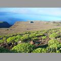 2009-01_lagomera-246.JPG