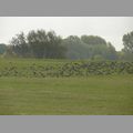 2009_ostsee_236.JPG