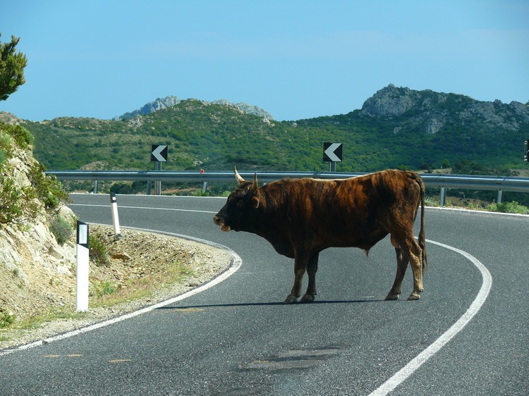 2009_sardinien_040.JPG