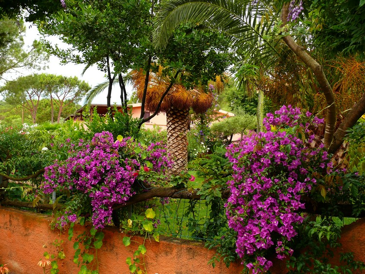 2009_sardinien_395.JPG