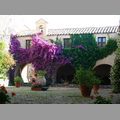 2009_sardinien_087.JPG