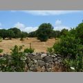 2009_sardinien_293.JPG