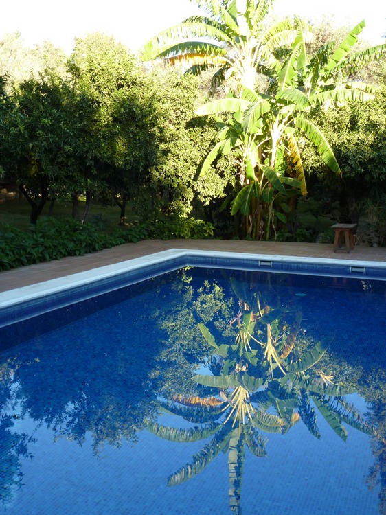 2011_andalusien_059.jpg