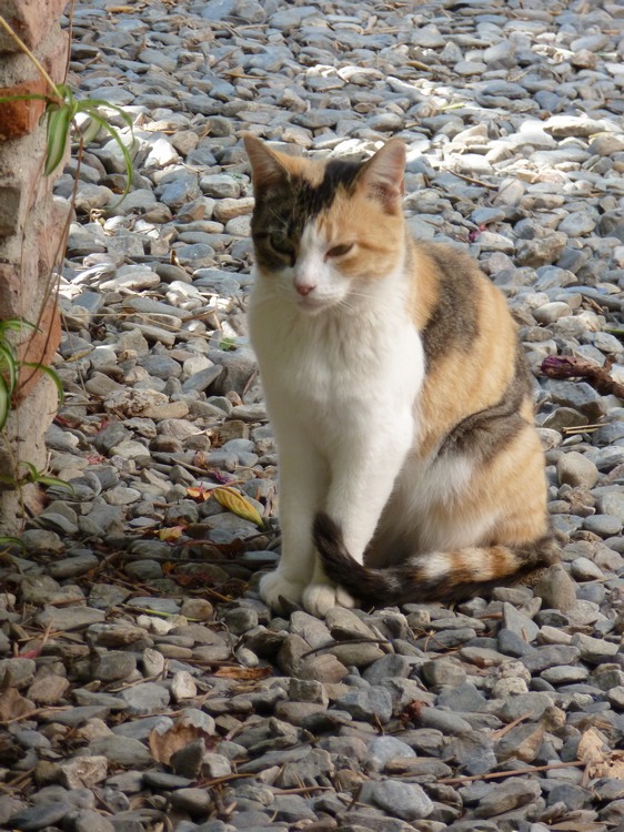 2011_andalusien_300.jpg