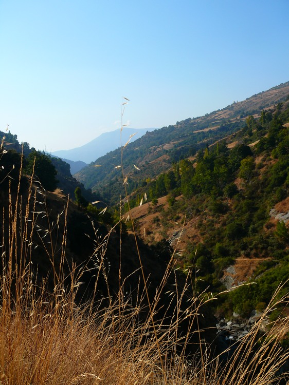 2011_andalusien_310.jpg