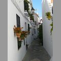 2011_andalusien_271.jpg