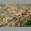 2011_andalusien_308.jpg
