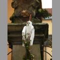 2012_osterbrunnen_059.jpg