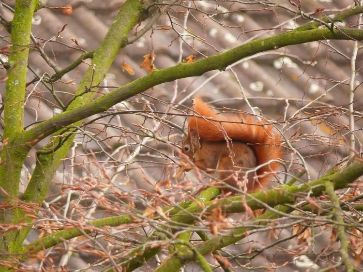 2010_tiere_006.jpg