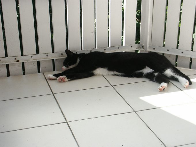 PICT6078.JPG